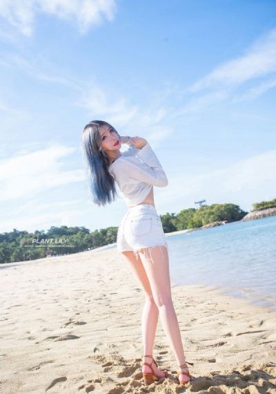 最新电视剧
