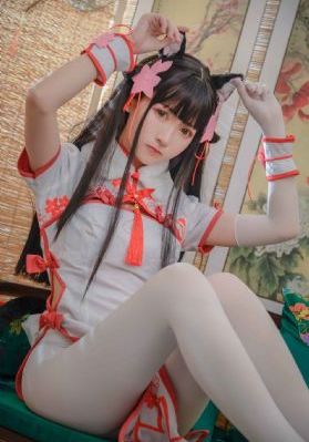 功夫特警电视剧在线观看免费